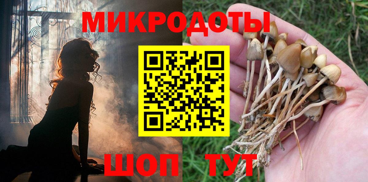 как найти закладки  Вход с VPN  Югорск  Галлюциногенные грибы мицелий 