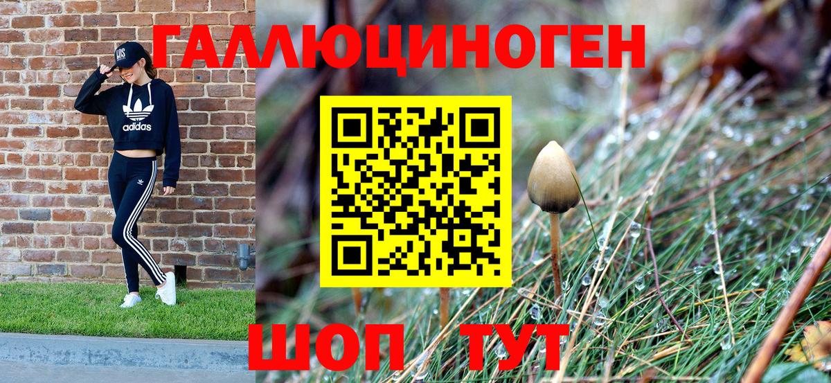 Псилоцибиновые грибы прущие грибы Югорск